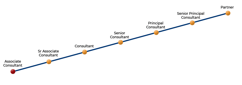 Associate Consultant