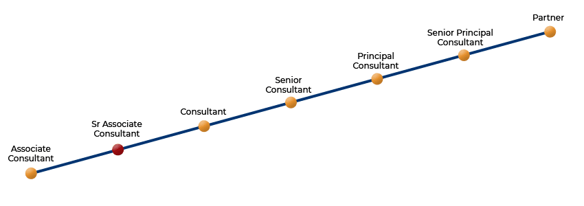 Sr Associate Consultant