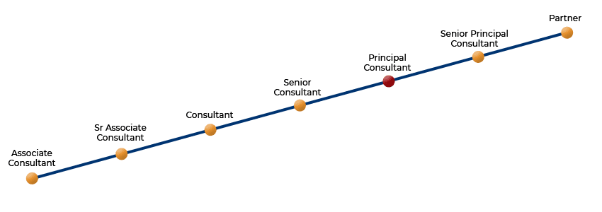 Principal Consultant