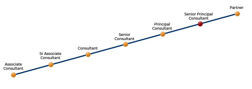 Senior Principal Consultant